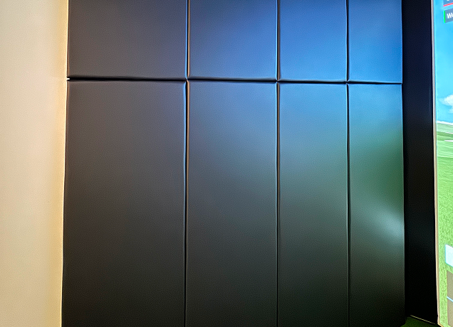 Close-up of black padded wall panels.